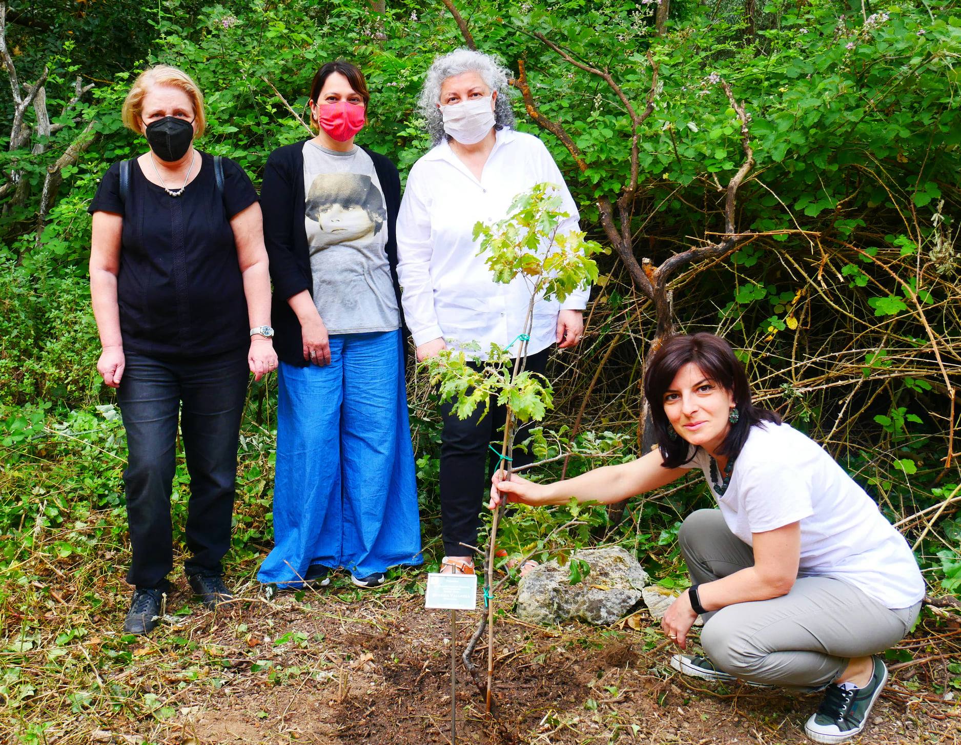 Loredana De Vitis pianta una quercia vallonea dedicata a "il posto di dio" nella Foresta urbana a Lecce; nell'immagine assieme a Serena Gatto, Simona Cleopazzo e Teresa Musca di Collettiva edizioni indipendenti